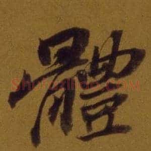 體