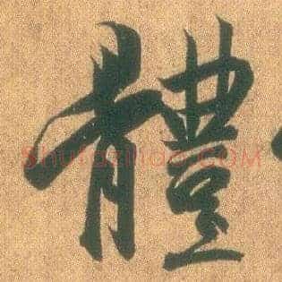 体