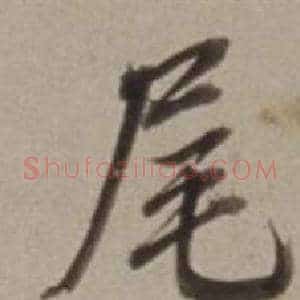 尾