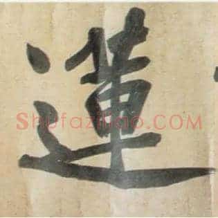 莲
