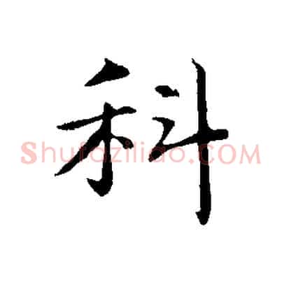 科