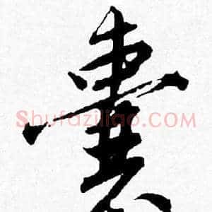 囊
