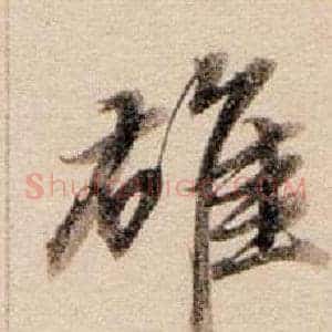 雄