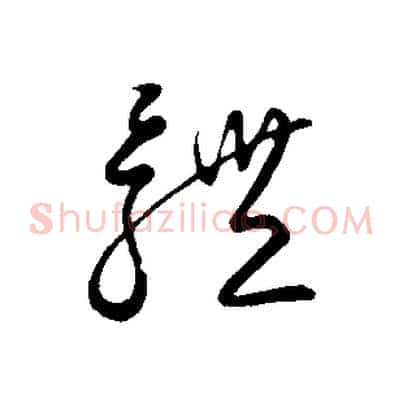 體