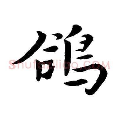 鴿