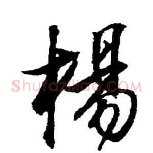 杨