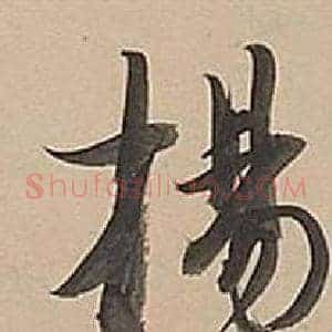 楊