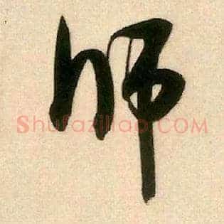 师