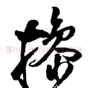 操