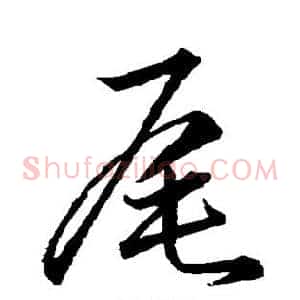 尾