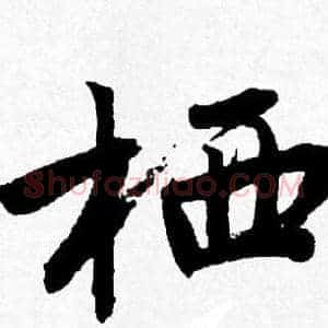 栖