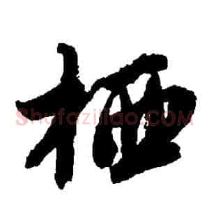 棲