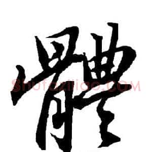 体