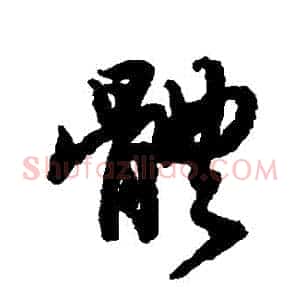 體