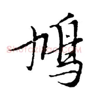 鳩