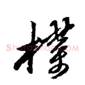朴