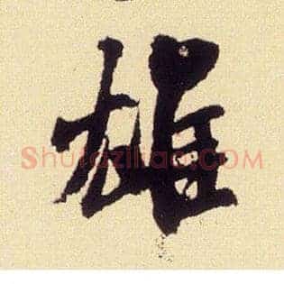 雄