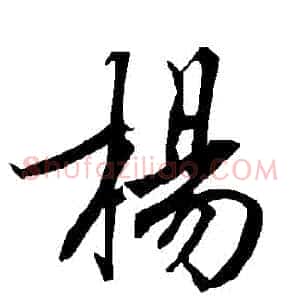 楊