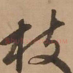 枝