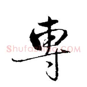 專