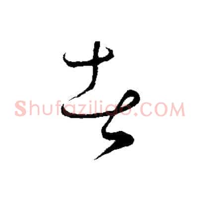 者