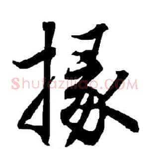 掾
