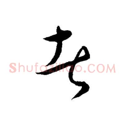 者