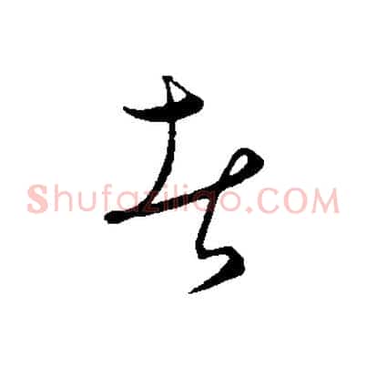 者