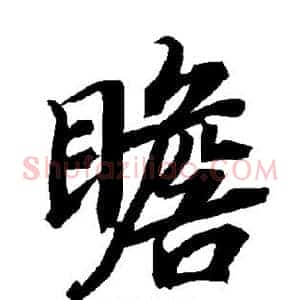 瞻