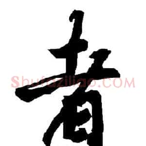 者
