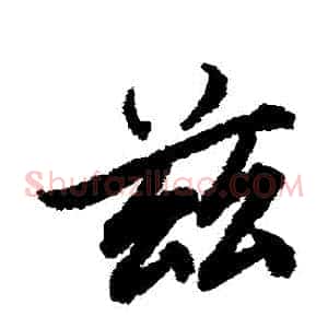 茲