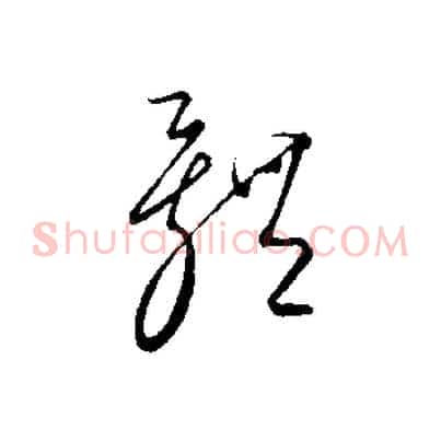 體