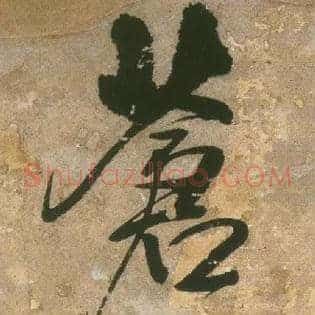 苍