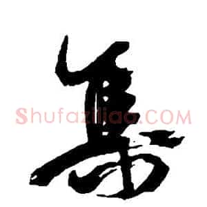 集