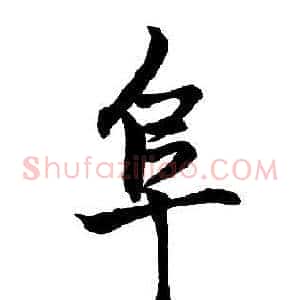 阜