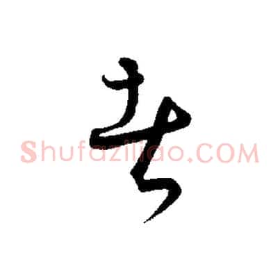 者