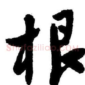 根