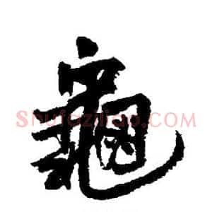 龟