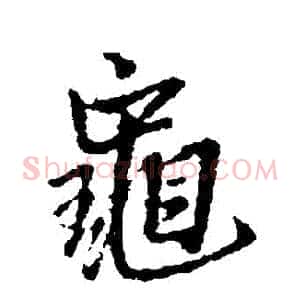 龜