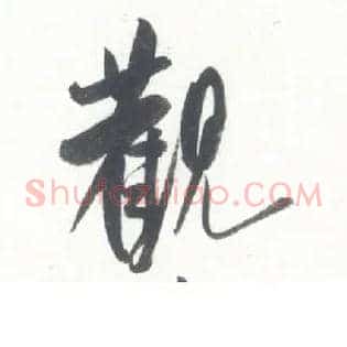 观