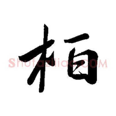 柏