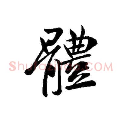 體