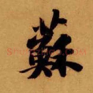 苏