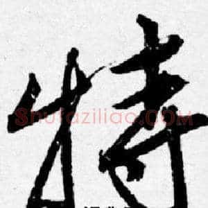 特