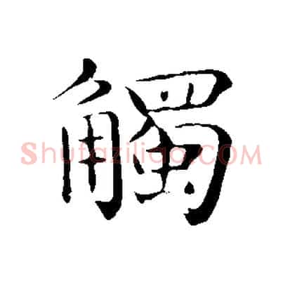 觸