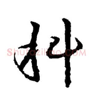 科