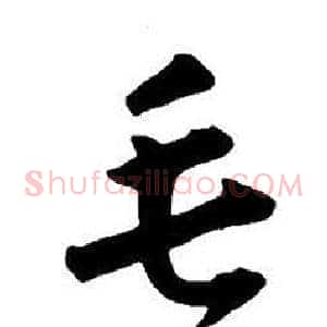 毛