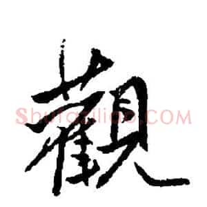 观
