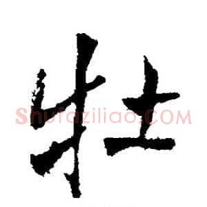 牡