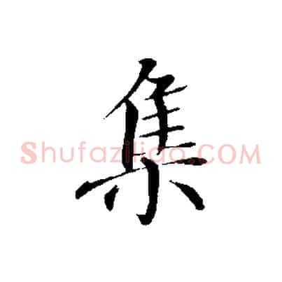 集